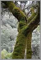 Parque Natural de las Batuecas