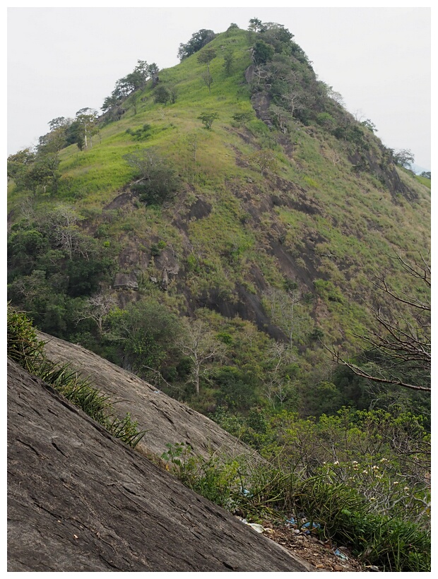 Dambulla