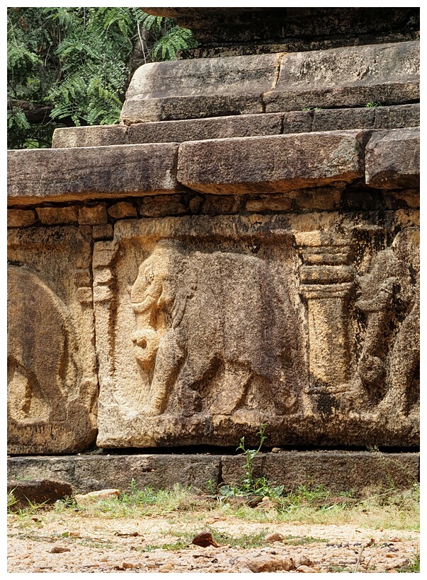 Elephants Frieze