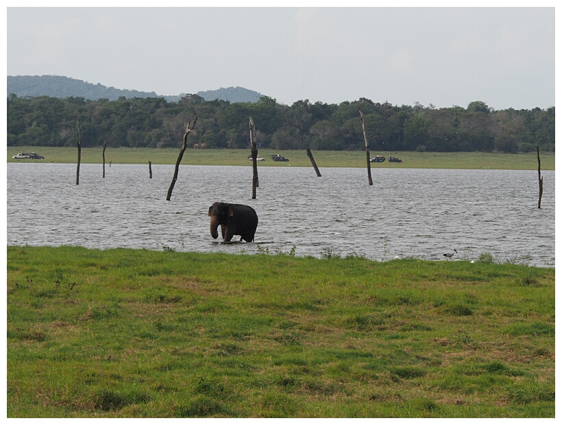 Kaudulla National Park
