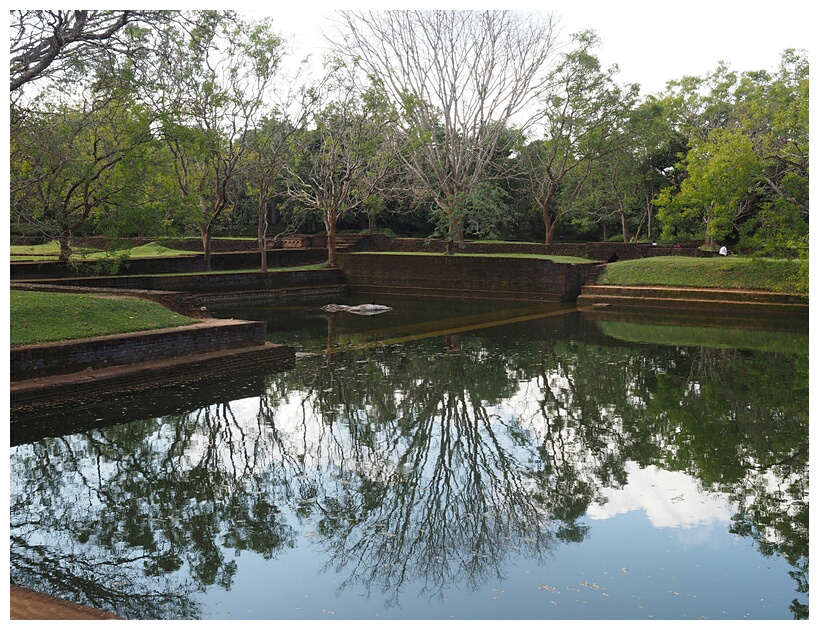 Water Gardens