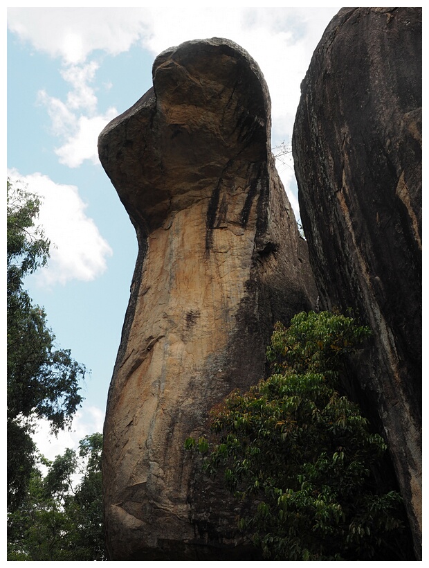 Cobra Hood Cave