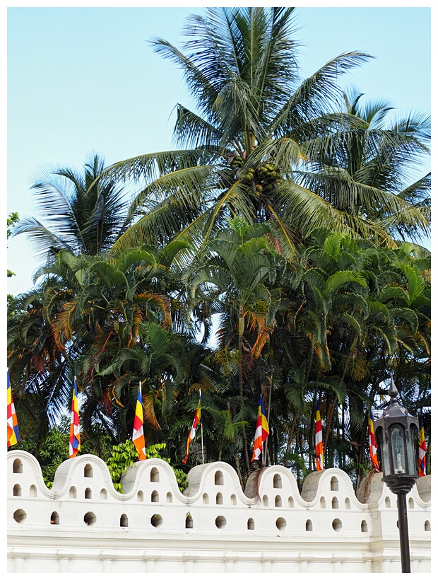 Temple of the Sacred Tooth