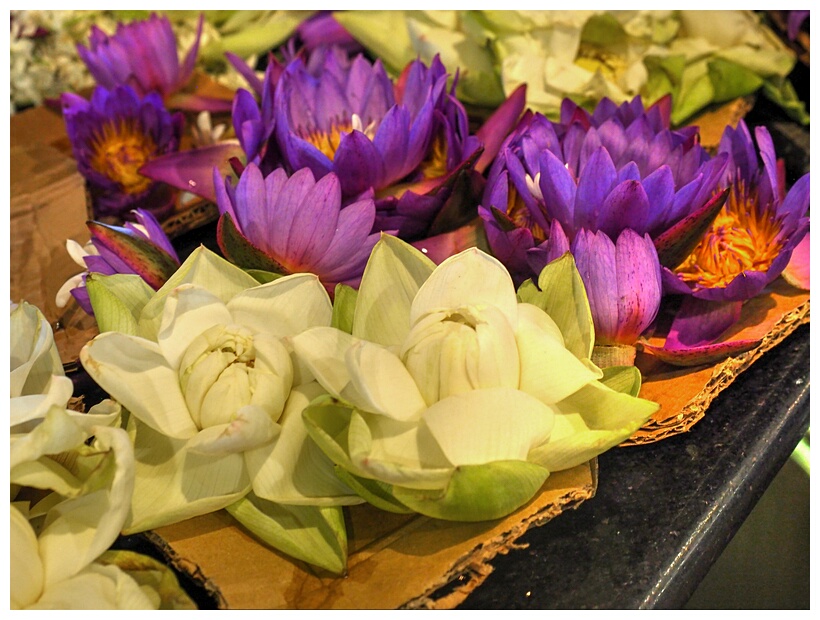 Offerings