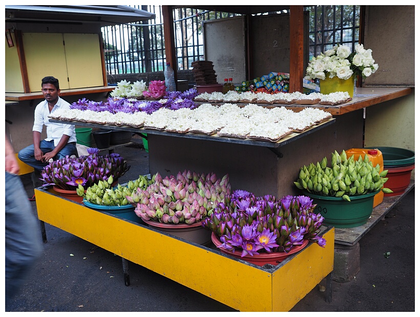 Selling Flowers