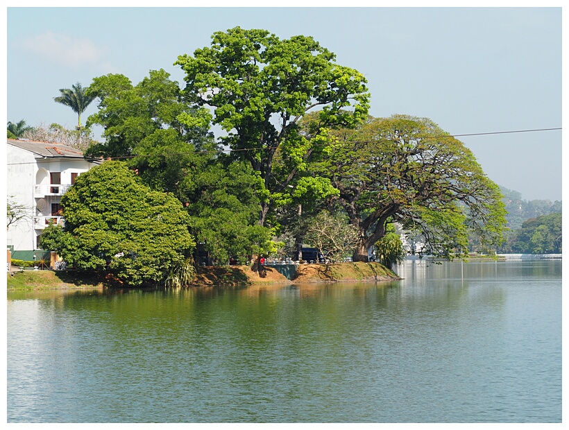 Kandy Lake