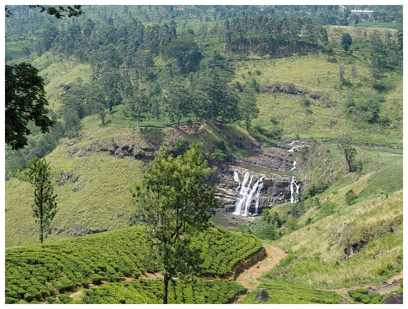 Green Landscape