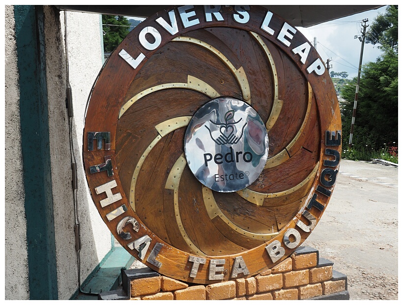 Pedro Tea Estate