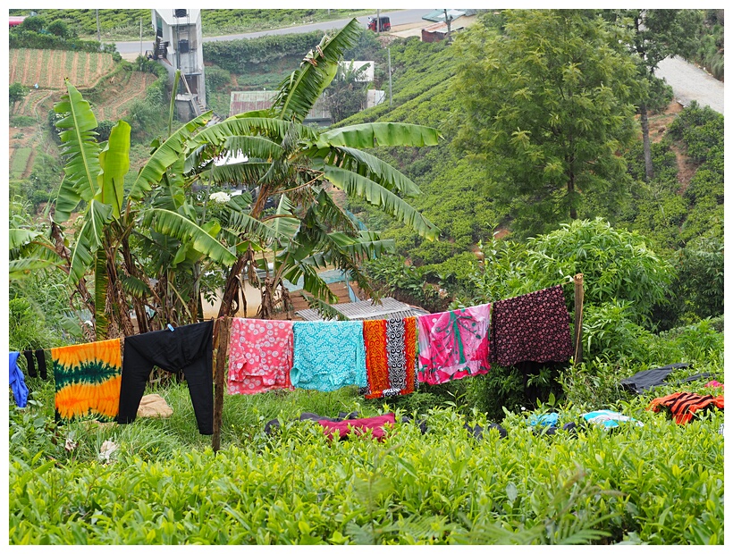 Drying Clothes