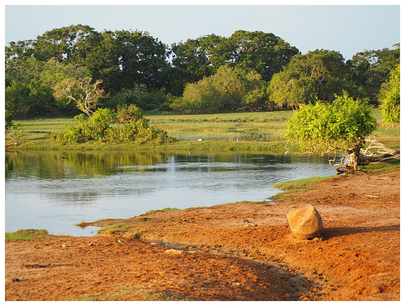 Yala National Park