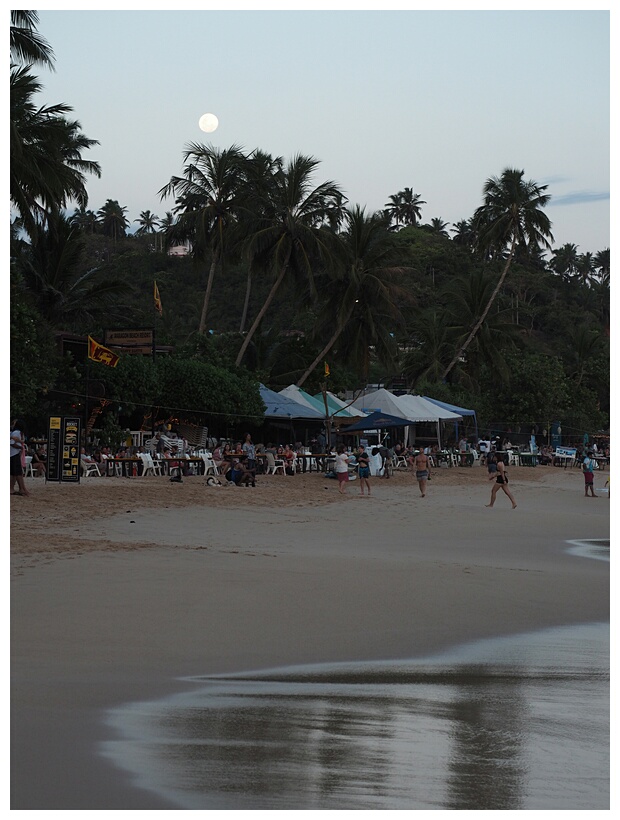 Mirissa Beach