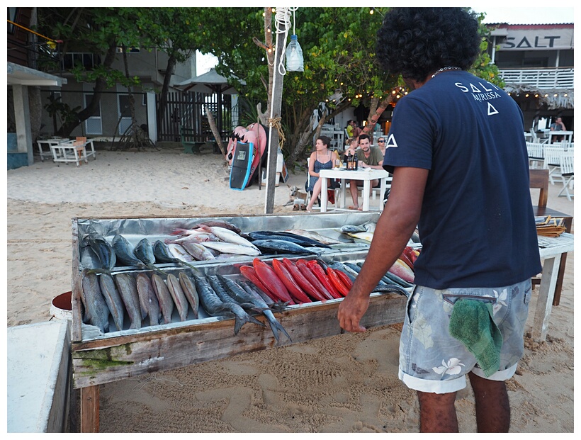 The Day's Catch
