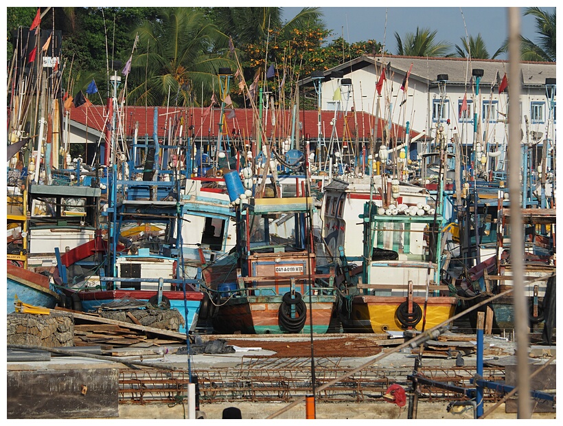 Mirissa Harbour