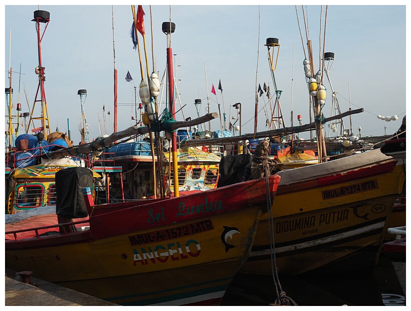 Fishing Boats