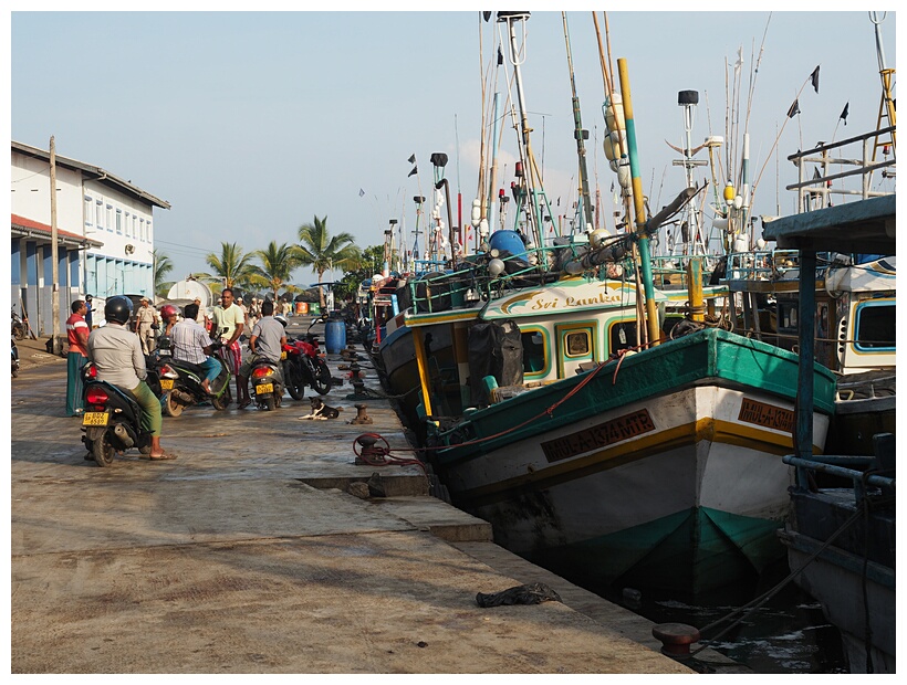 Fishing Harbour