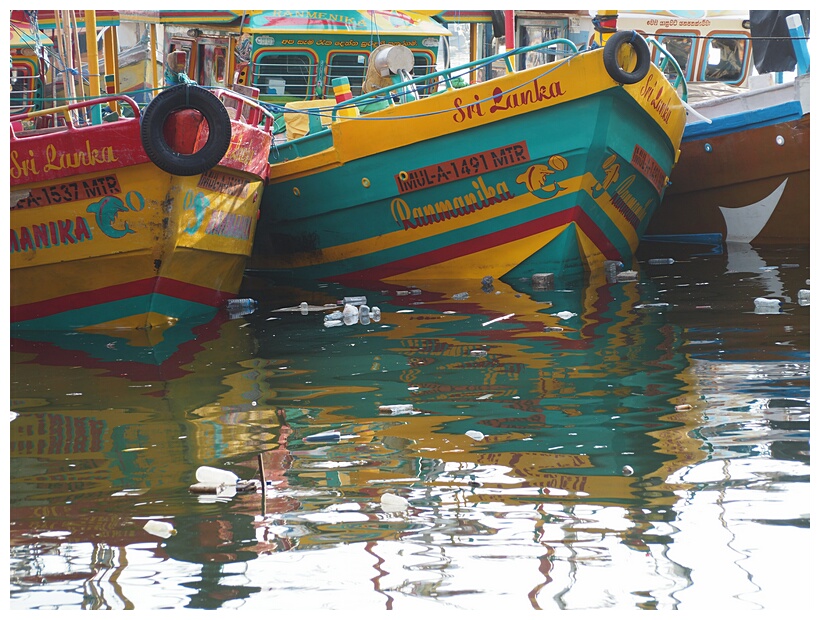 Mirissa Harbour