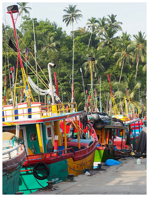 Mirissa Harbour