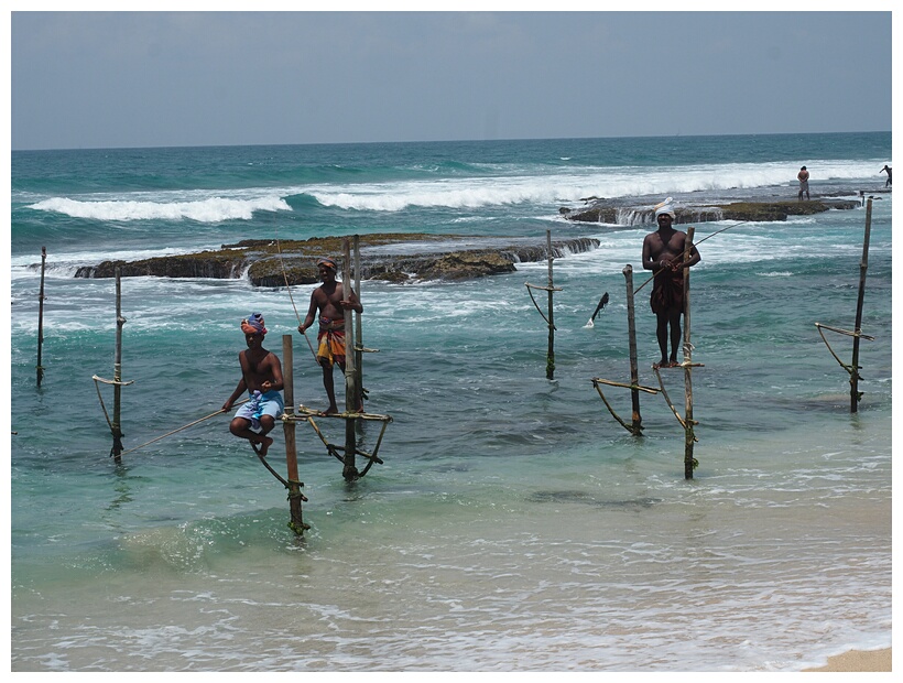 Stilt Fishermen