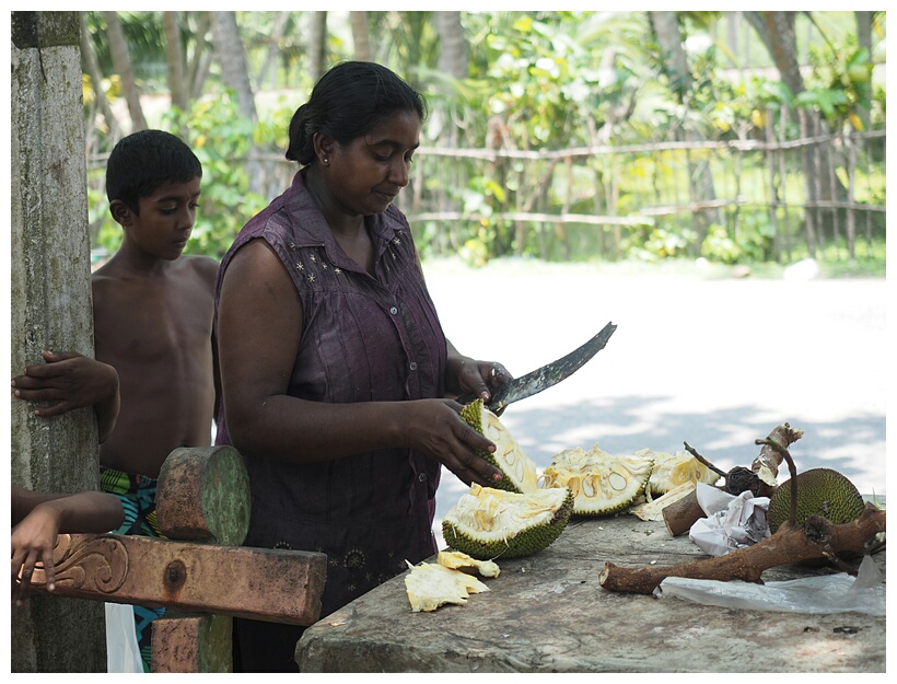 Jackfruit