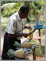 Pineapple