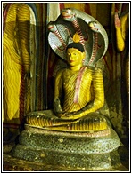 Buddha