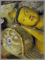 Buddha Head