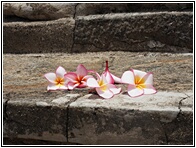 Offerings