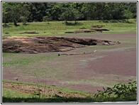 Pond
