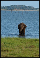 Kaudulla Tank
