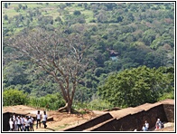 Sigiriya Rock