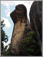 Cobra Hood Cave