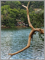 Kandy Lake