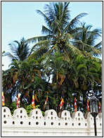 Temple of the Sacred Tooth