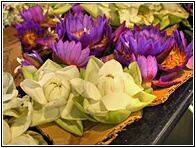 Offerings