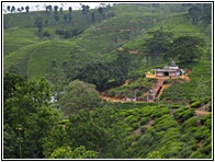 Temple