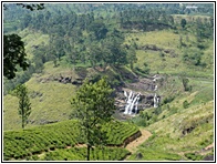 Green Landscape