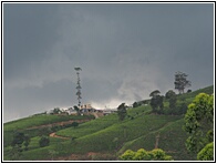 Nuwara Eliya