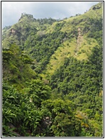 Ella Gap