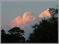 Dawn