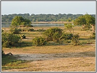 Yala National Park