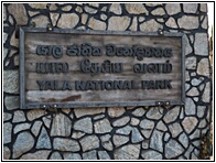 Yala National Park