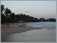 Mirissa Beach
