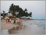 Mirissa Beach