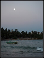 Mirissa Beach