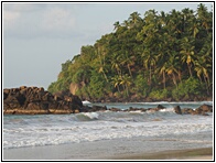 Mirissa