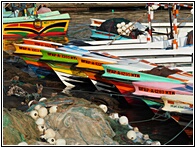 Mirissa Harbour