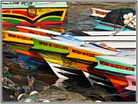 Mirissa Harbour