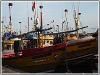 Fishing Boats