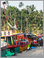 Mirissa Harbour