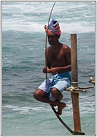 Stilt Fishermen